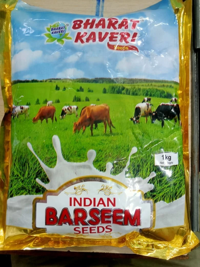 INDIAN BARSEEM-BHARAT KAVERI-1 KG