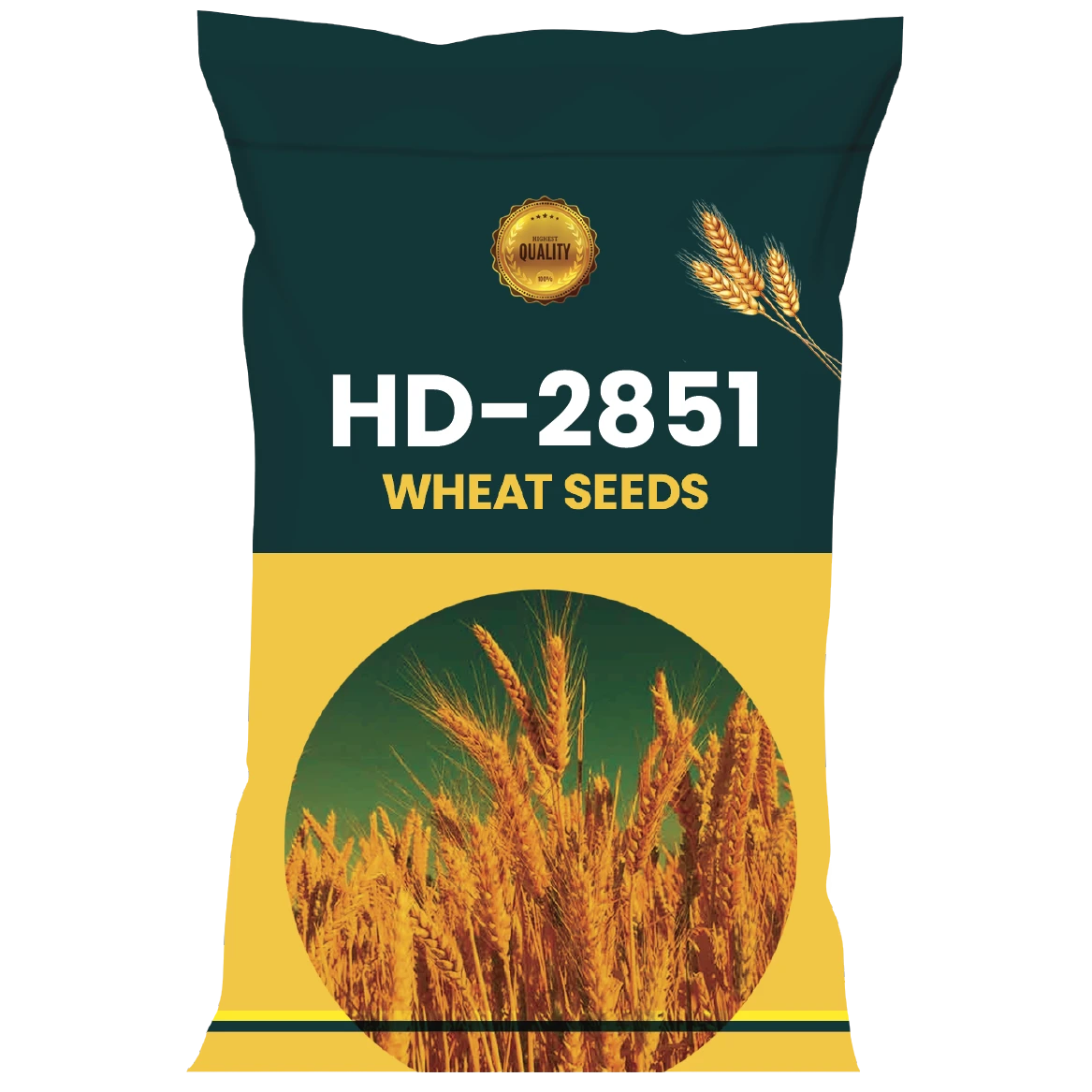 WHEAT SEEDS VARIETY HD-2851