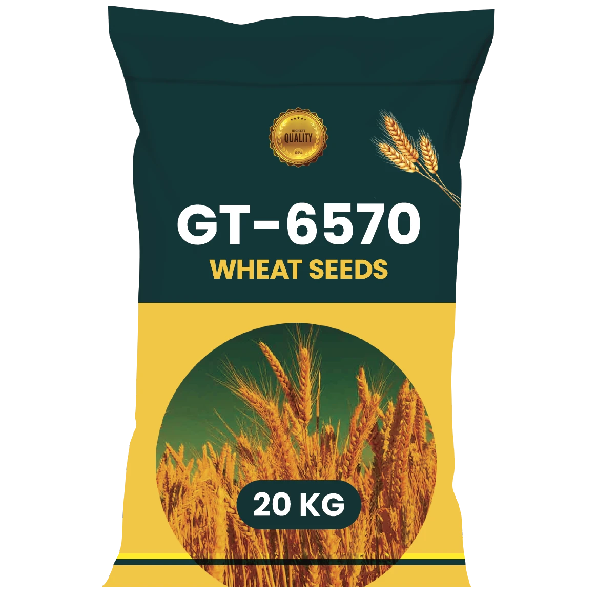 WHEAT SEEDS VARIETY GT-6570