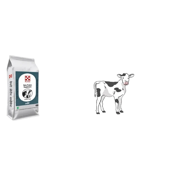 CARGILL DAIRY PROTEIN SUPPLEMENT CATTLE FEED