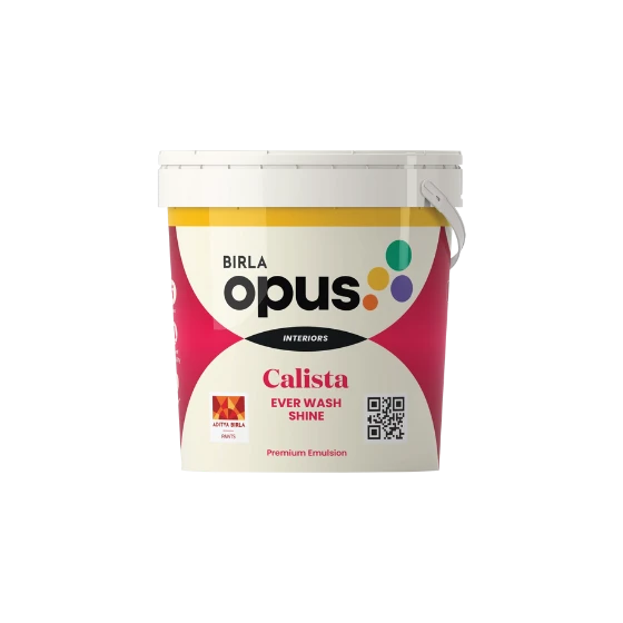PAINT CALISTA EVER WASH SHINE 20L