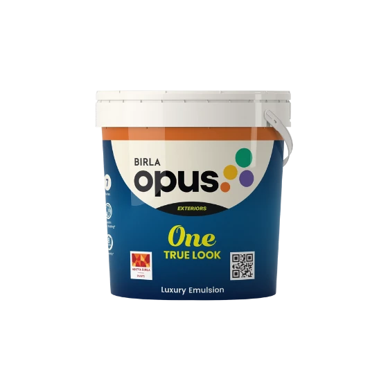 ONE TRUE LOOK PAINT 1L