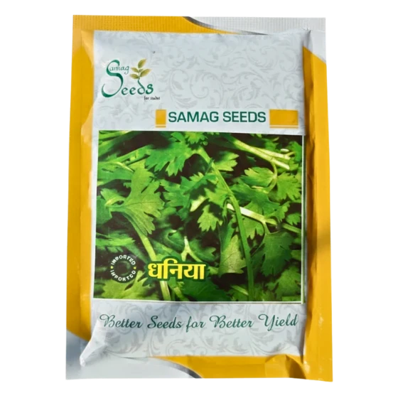 DHANIYA SEEDS