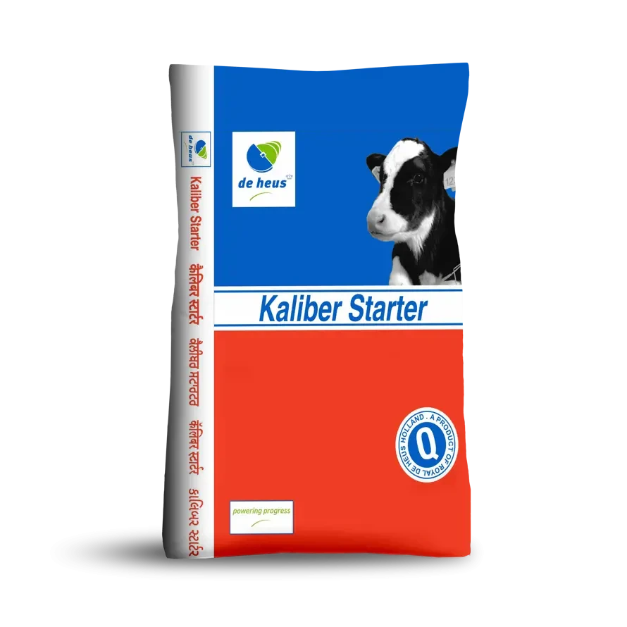 KALIBER STARTER 25 kg